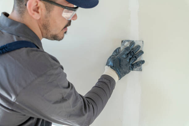  Lake Forest, IL Dry wall and painting Pros