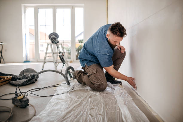 Best Fire-Damaged Drywall Repair  in Lake Forest, IL