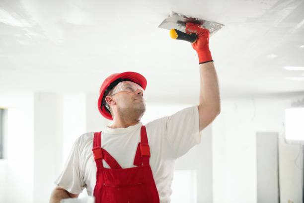 Best Painting for New Construction  in Lake Forest, IL