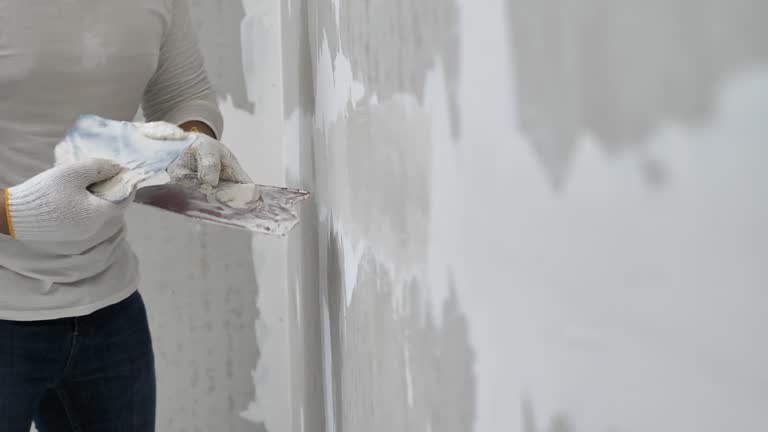 Best Wallpaper Removal and Painting  in Lake Forest, IL